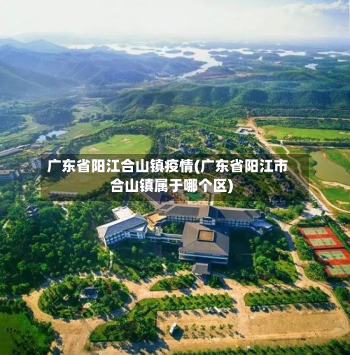 广东省阳江合山镇疫情(广东省阳江市合山镇属于哪个区)-第2张图片