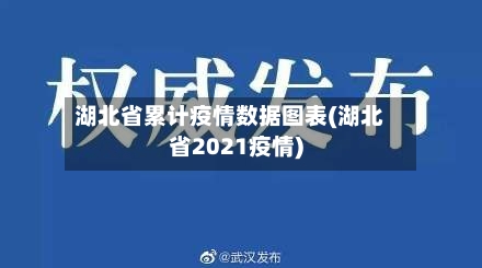 湖北省累计疫情数据图表(湖北省2021疫情)-第3张图片
