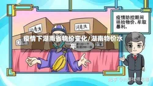 疫情下湖南省物价变化/湖南物价水平-第3张图片