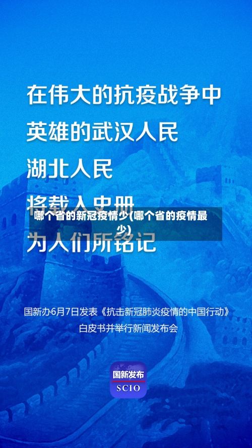哪个省的新冠疫情少(哪个省的疫情最少)-第2张图片
