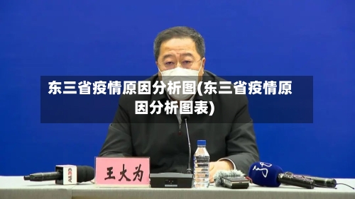 东三省疫情原因分析图(东三省疫情原因分析图表)-第3张图片