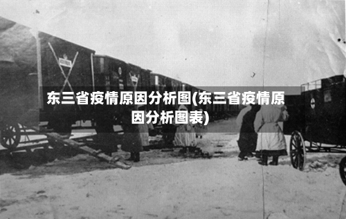 东三省疫情原因分析图(东三省疫情原因分析图表)-第1张图片