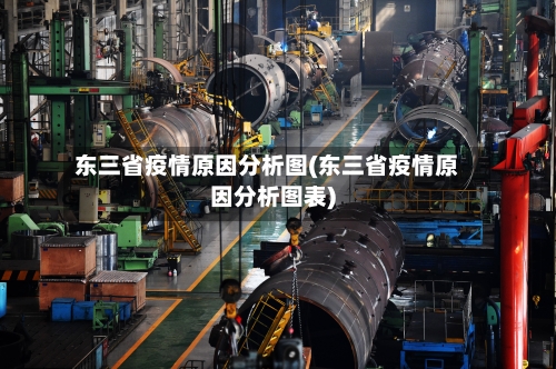 东三省疫情原因分析图(东三省疫情原因分析图表)-第2张图片