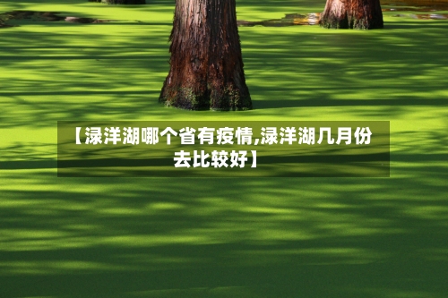 【渌洋湖哪个省有疫情,渌洋湖几月份去比较好】-第3张图片