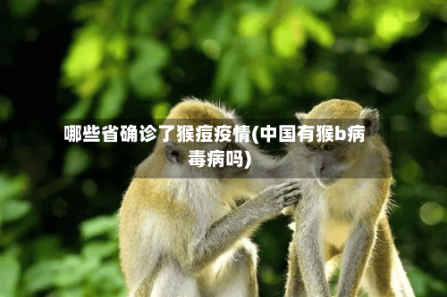 哪些省确诊了猴痘疫情(中国有猴b病毒病吗)-第2张图片
