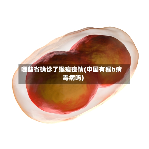 哪些省确诊了猴痘疫情(中国有猴b病毒病吗)-第1张图片