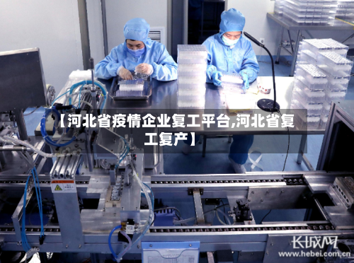 【河北省疫情企业复工平台,河北省复工复产】-第2张图片
