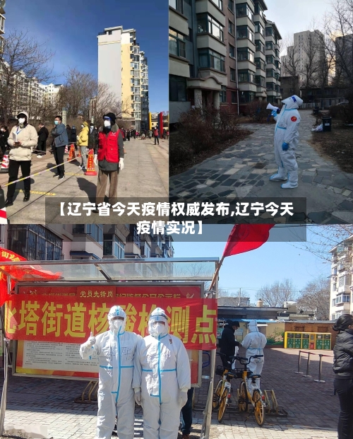 【辽宁省今天疫情权威发布,辽宁今天疫情实况】-第3张图片