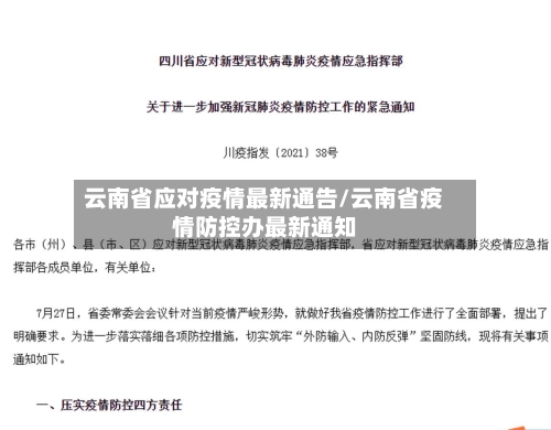 云南省应对疫情最新通告/云南省疫情防控办最新通知-第2张图片