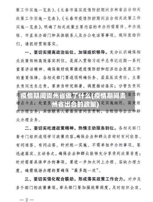 疫情期间贵州省做了什么(疫情期间贵州省出台的政策)-第1张图片