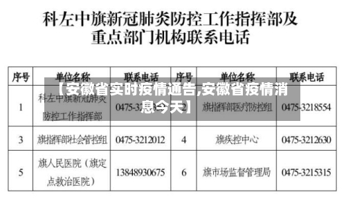 【安徽省实时疫情通告,安徽省疫情消息今天】-第2张图片