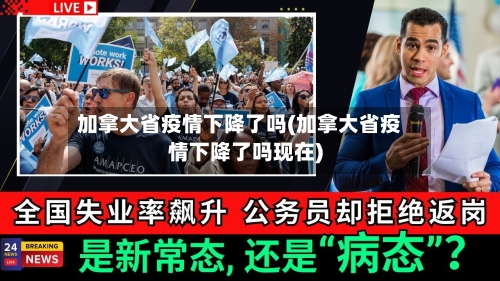 加拿大省疫情下降了吗(加拿大省疫情下降了吗现在)-第2张图片