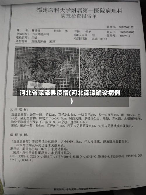 河北省深泽县疫情(河北深泽确诊病例)-第1张图片
