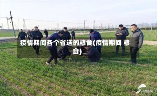 疫情期间各个省送的粮食(疫情期间 粮食)-第1张图片
