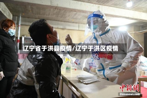 辽宁省于洪县疫情/辽宁于洪区疫情-第2张图片