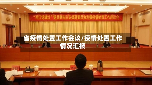 省疫情处置工作会议/疫情处置工作情况汇报-第2张图片