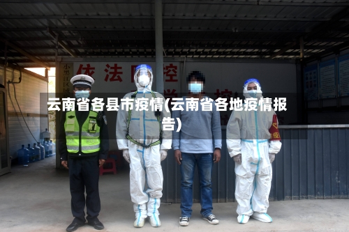 云南省各县市疫情(云南省各地疫情报告)-第3张图片
