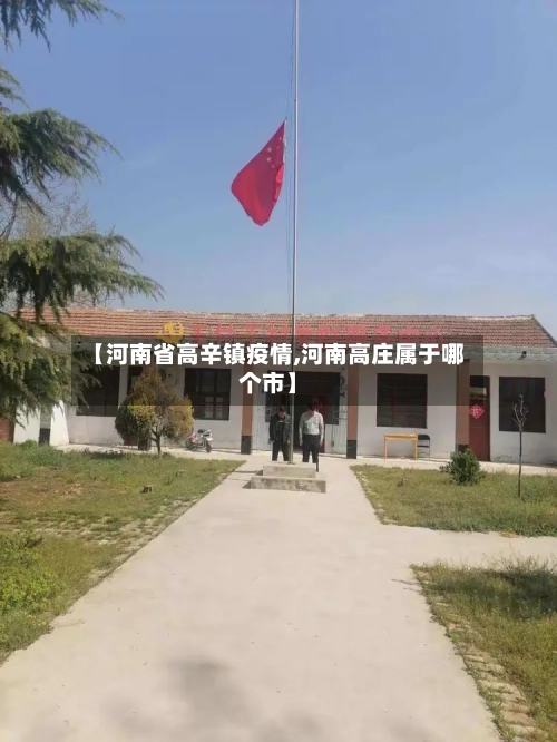 【河南省高辛镇疫情,河南高庄属于哪个市】-第2张图片