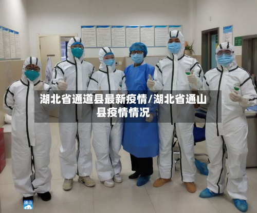 湖北省通道县最新疫情/湖北省通山县疫情情况-第2张图片