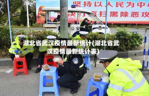 湖北省武汉疫情最新统计(湖北省武汉疫情最新统计表)-第2张图片