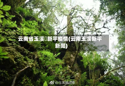 云南省玉溪巿新平疫情(云南玉溪新平新闻)-第1张图片