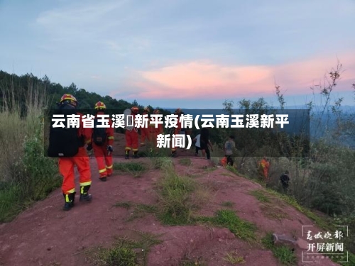 云南省玉溪巿新平疫情(云南玉溪新平新闻)-第2张图片