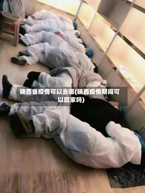 陕西省疫情可以去哪(陕西疫情期间可以回家吗)-第1张图片