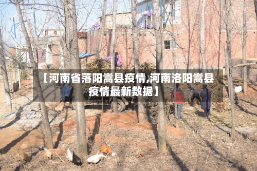 【河南省落阳嵩县疫情,河南洛阳嵩县疫情最新数据】-第1张图片