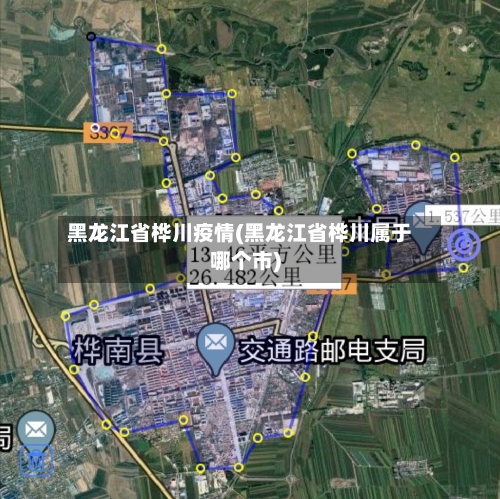 黑龙江省桦川疫情(黑龙江省桦川属于哪个市)-第3张图片