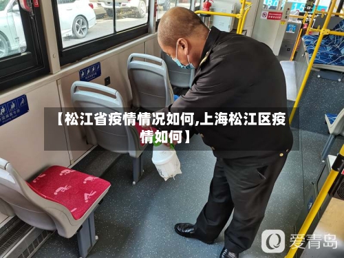 【松江省疫情情况如何,上海松江区疫情如何】-第3张图片