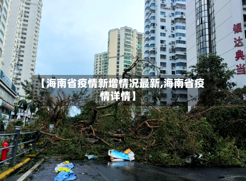 【海南省疫情新增情况最新,海南省疫情详情】-第3张图片