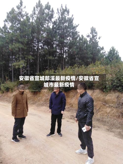 安徽省宣城郎溪最新疫情/安徽省宣城市最新疫情-第2张图片
