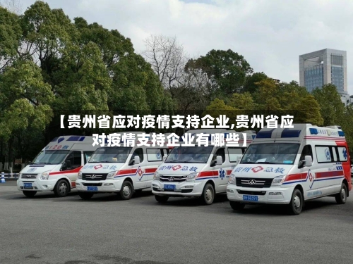 【贵州省应对疫情支持企业,贵州省应对疫情支持企业有哪些】-第2张图片