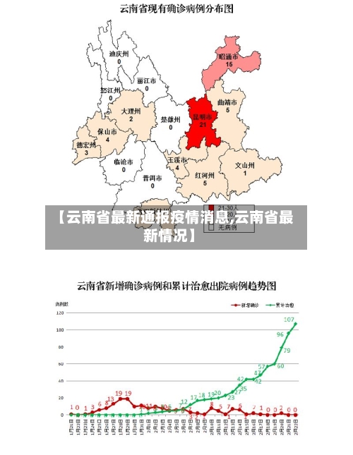 【云南省最新通报疫情消息,云南省最新情况】-第2张图片
