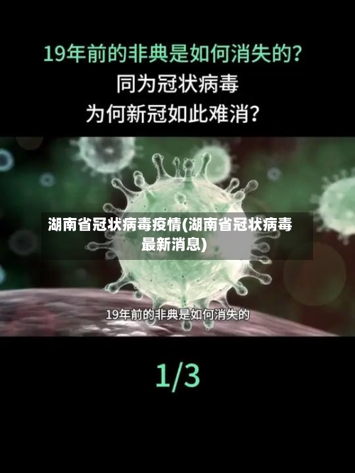 湖南省冠状病毒疫情(湖南省冠状病毒最新消息)-第2张图片