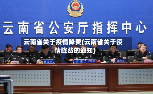 云南省关于疫情降费(云南省关于疫情降费的通知)-第2张图片
