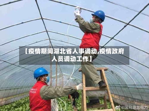 【疫情期间湖北省人事调动,疫情政府人员调动工作】-第3张图片