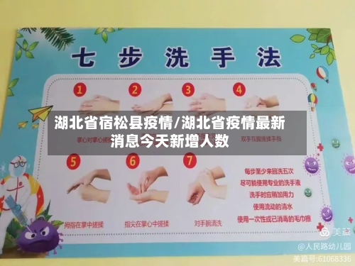 湖北省宿松县疫情/湖北省疫情最新消息今天新增人数-第1张图片