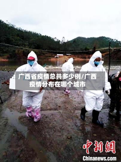 广西省疫情总共多少例/广西疫情分布在哪个城市-第2张图片