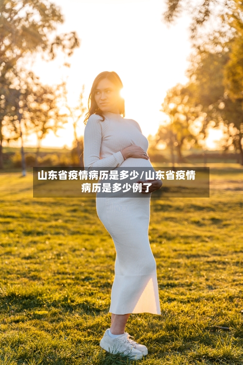 山东省疫情病历是多少/山东省疫情病历是多少例了-第1张图片
