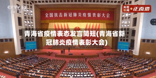 青海省疫情表态发言简短(青海省新冠肺炎疫情表彰大会)-第2张图片