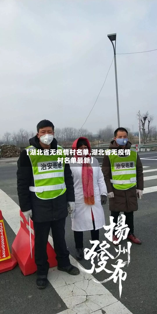 【湖北省无疫情村名单,湖北省无疫情村名单最新】-第2张图片