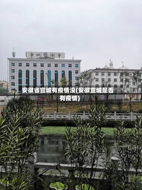 安徽省宣城有疫情没(安徽宣城是否有疫情)-第3张图片