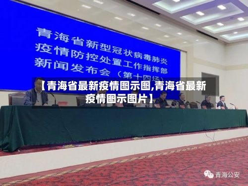 【青海省最新疫情图示图,青海省最新疫情图示图片】-第3张图片