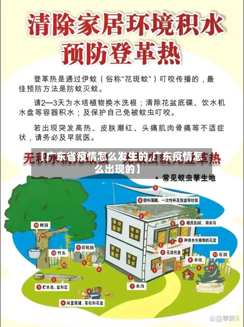 【广东省疫情怎么发生的,广东疫情怎么出现的】-第2张图片