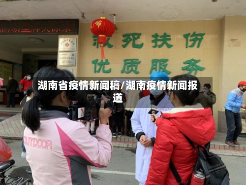 湖南省疫情新闻稿/湖南疫情新闻报道-第2张图片