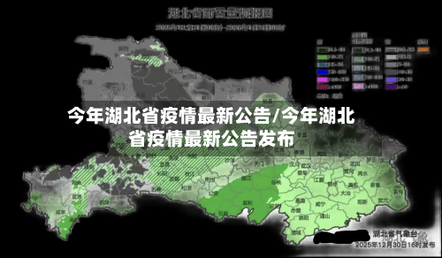 今年湖北省疫情最新公告/今年湖北省疫情最新公告发布-第2张图片