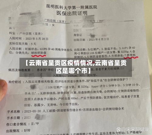 【云南省呈贡区疫情情况,云南省呈贡区是哪个市】-第3张图片