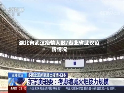 湖北省武汉疫情人数/湖北省武汉疫情情况-第3张图片