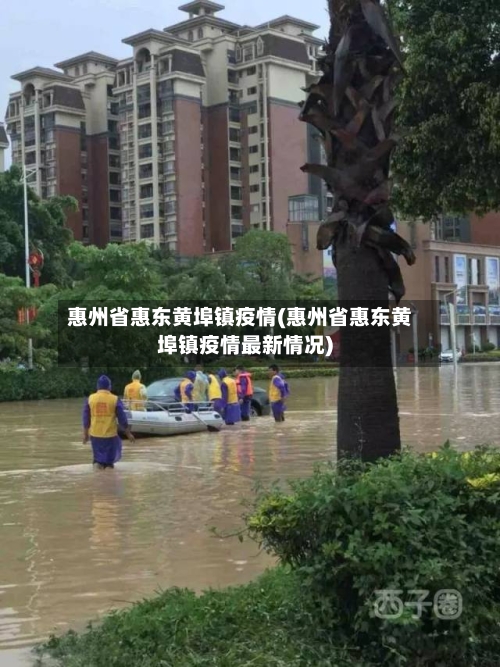 惠州省惠东黄埠镇疫情(惠州省惠东黄埠镇疫情最新情况)-第2张图片